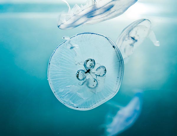 Wholesale baby clothes in bulk for B2B retailers – stylish, high-quality, affordable options perfect for your store inventory.